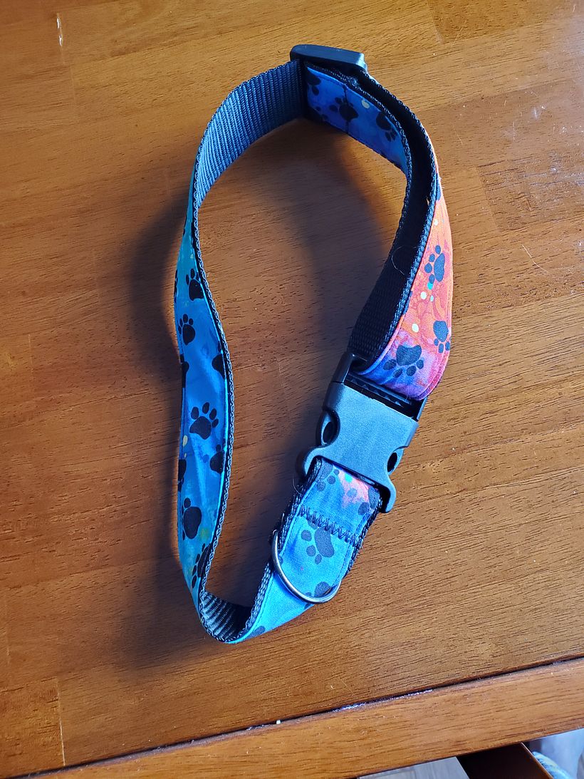 Dog Collar -1