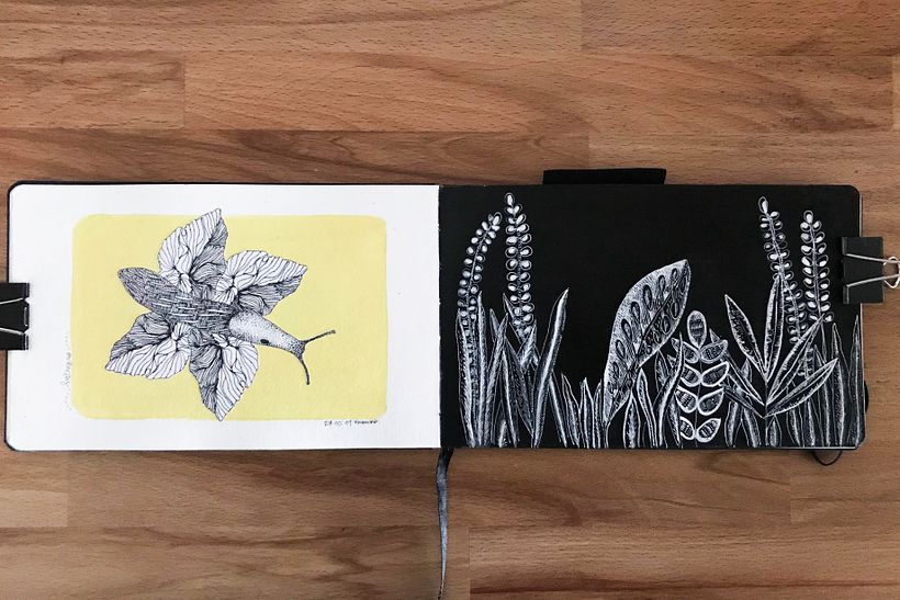 Left: My version of a Butterfly, composition exercice.Right: Night garden, exploring black and white ink.
