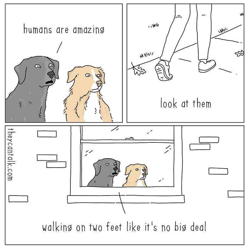 They Can Talk 3
