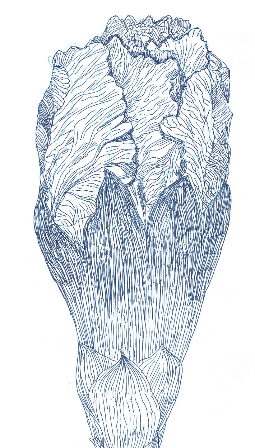 Sketchbook 6