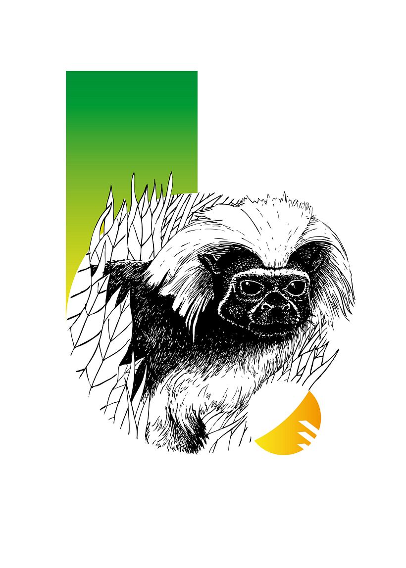 Colombia animal 0