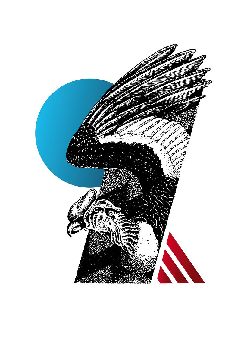 Colombia animal 4