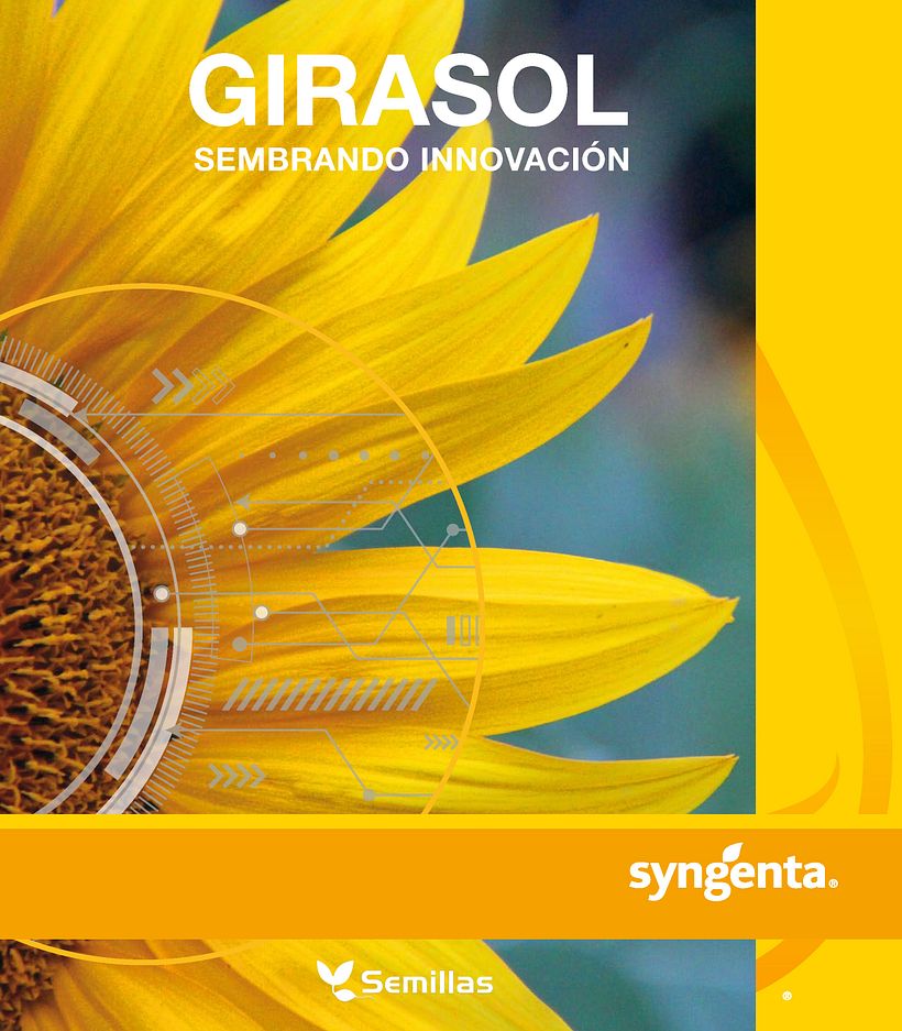 Catálogo Syngenta 2020 -1