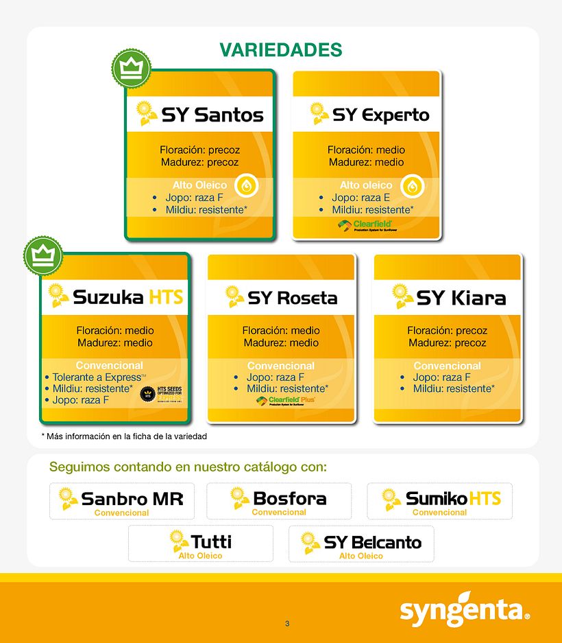 Catálogo Syngenta 2020 1