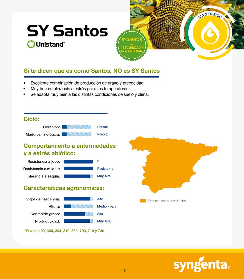 Catálogo Syngenta 2020 3