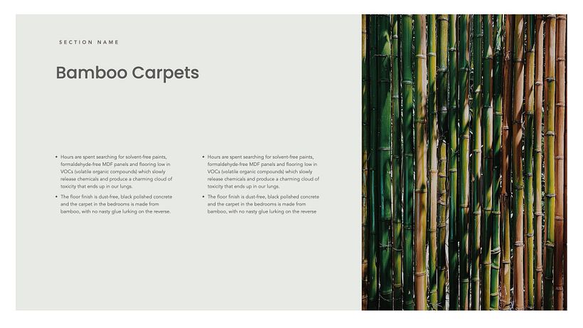 My project in Presentation Design: Create a Professional Template course 16