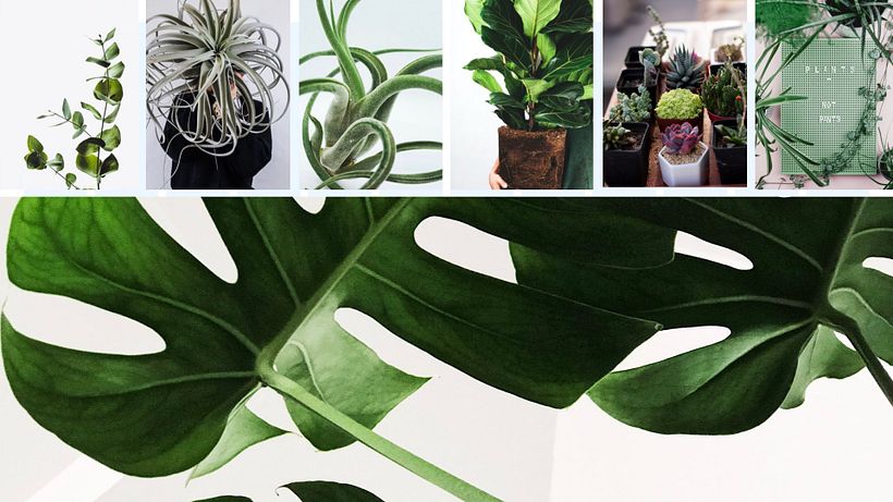 My project in Presentation Design: Create a Professional Template course 20