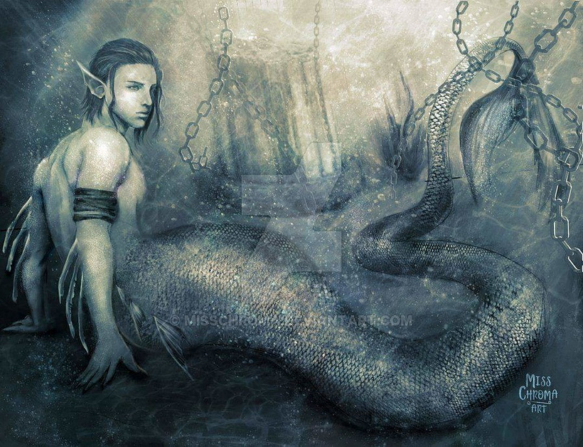 Digital Illustrations 1