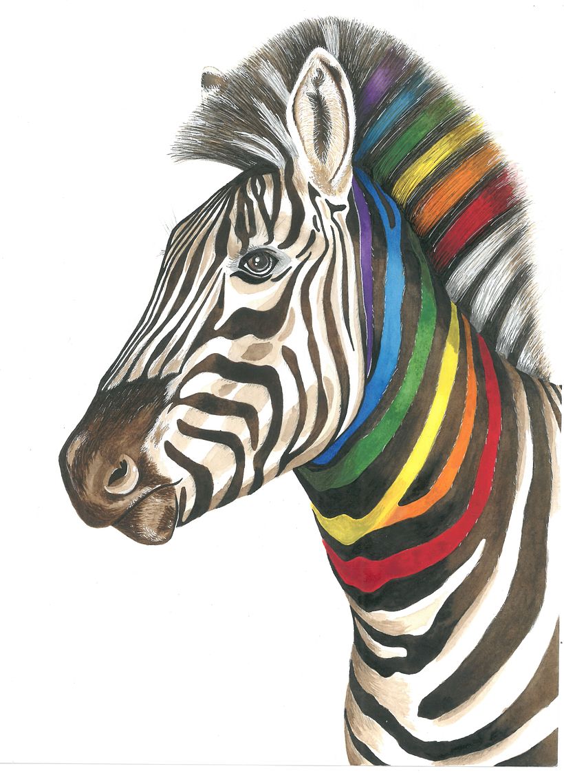 Zebro (Cebra en esperanto) Ilustración en Acuarela experimental.