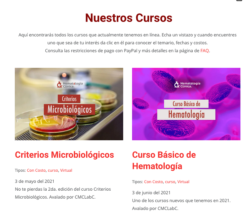 Mi Proyecto del curso: Creación de una web profesional con WordPress - Webdesign