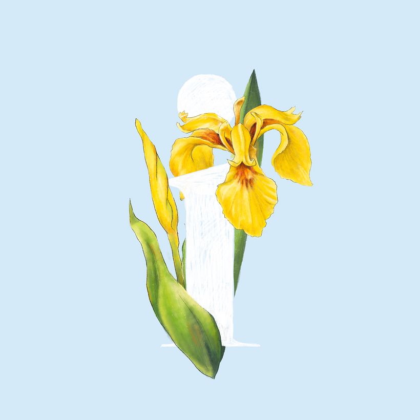 Comparte y gana: #36daysoftype 1