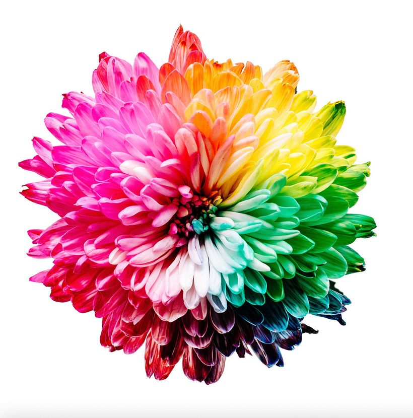 A cor é uma parte fundamental do trabalho de qualquer artista