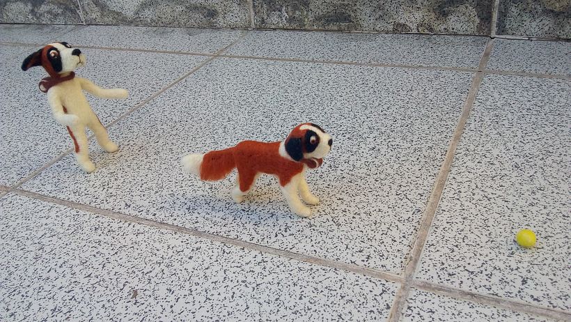 Meet Sam, The Half Dog 5