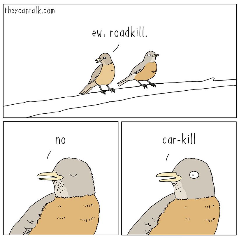 They Can Talk 5