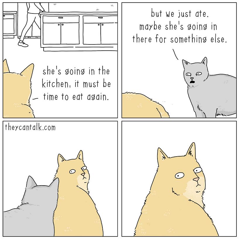 They Can Talk 6