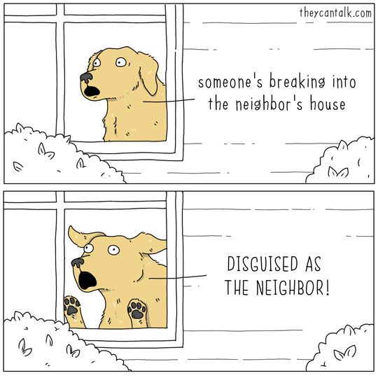 They Can Talk 9