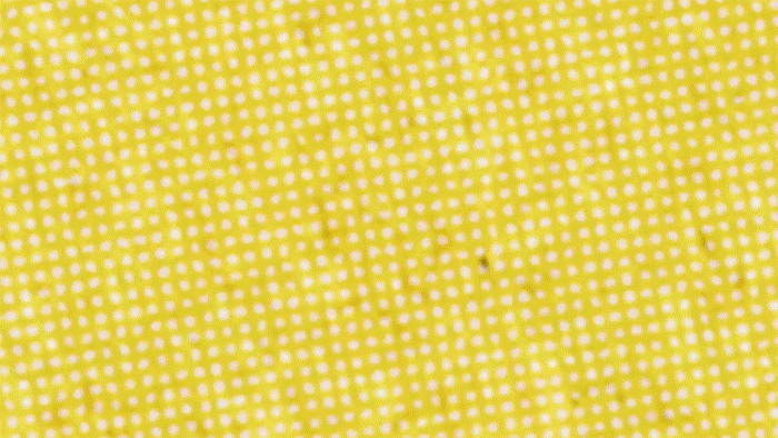 No me dejes tranquilo - lyric video Aerobot 0