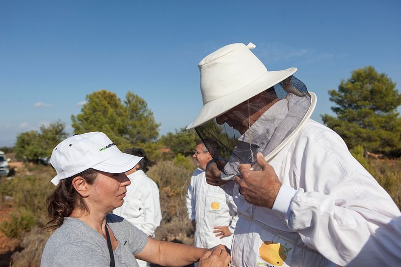 Artesanía_Apicultura -1