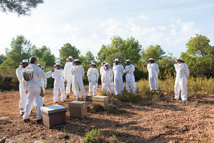 Artesanía_Apicultura 0