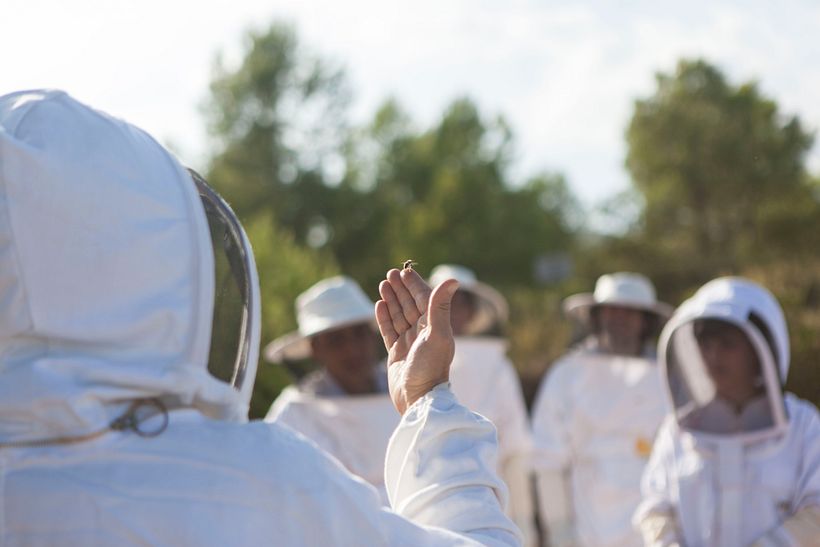 Artesanía_Apicultura 1