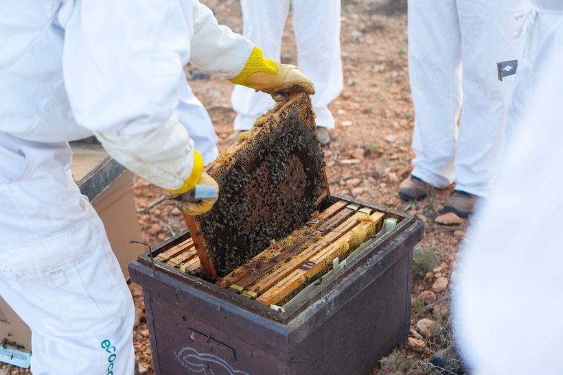 Artesanía_Apicultura 2