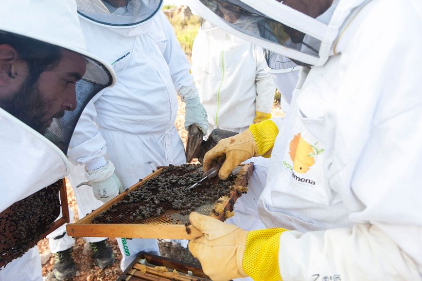 Artesanía_Apicultura 3