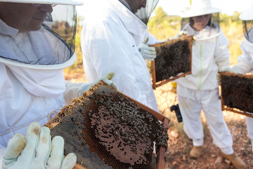 Artesanía_Apicultura 5