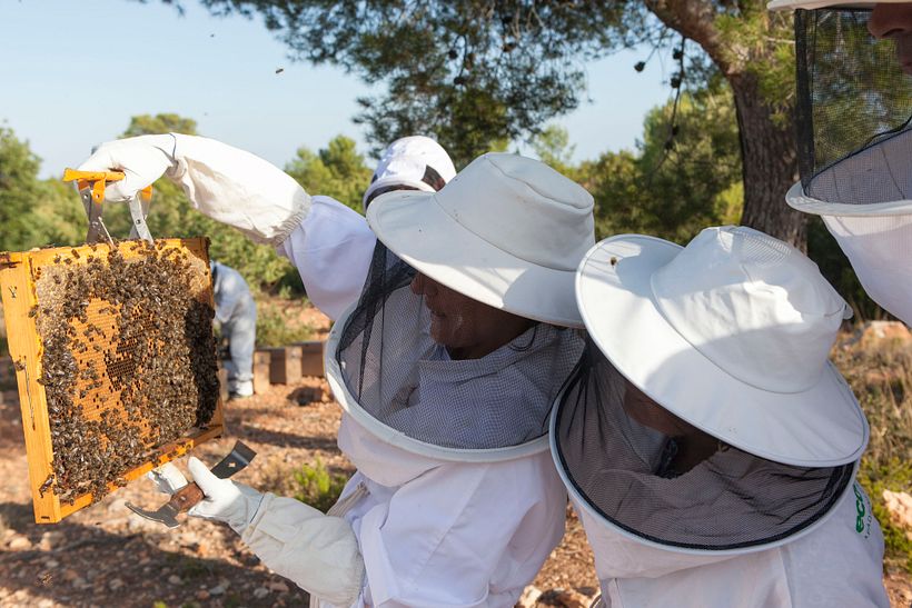 Artesanía_Apicultura 6