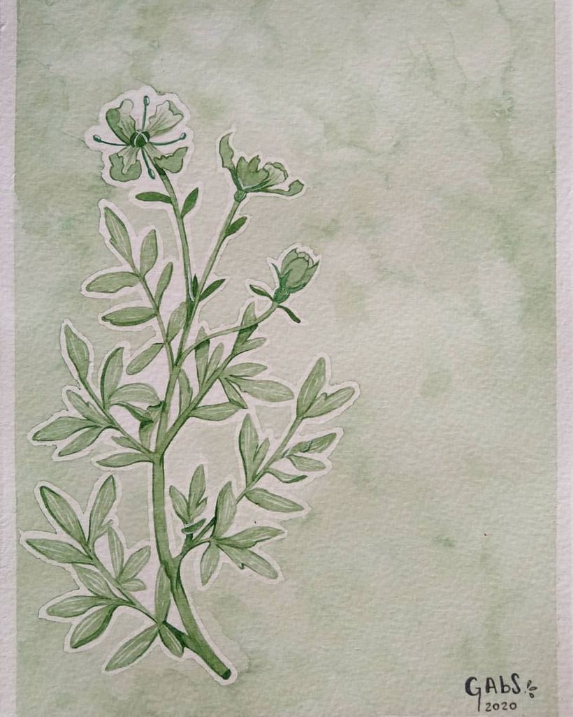 Planta Monocromática nº 1 0