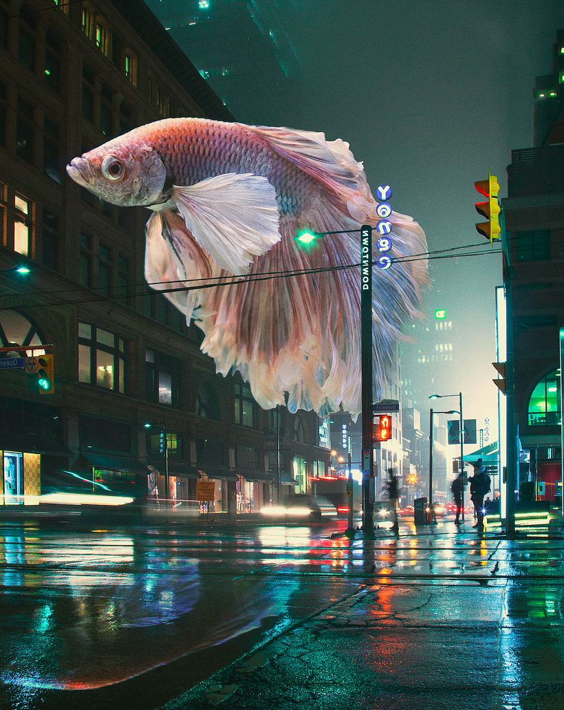 Escena de Diogo Sampaio. 