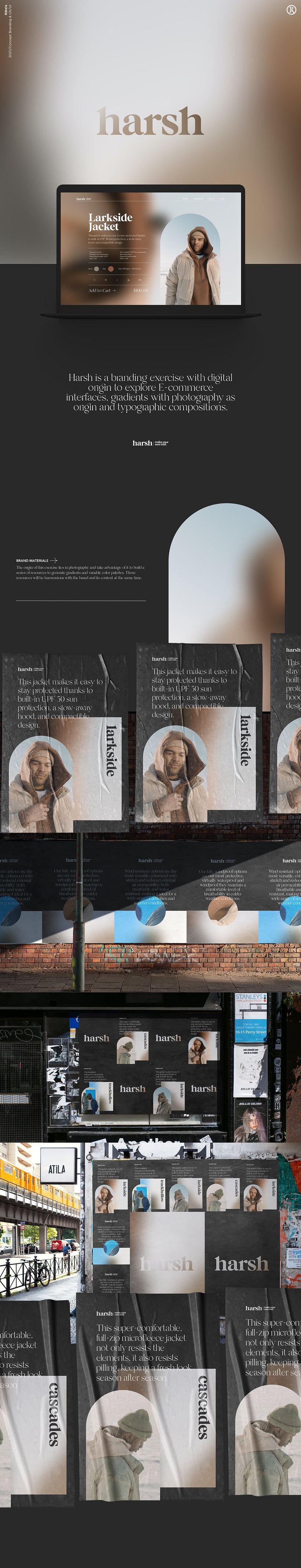 Harsh - Marca y Web -1