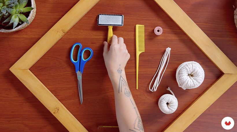 Scissors, steel brush, fine comb, and tape measure.