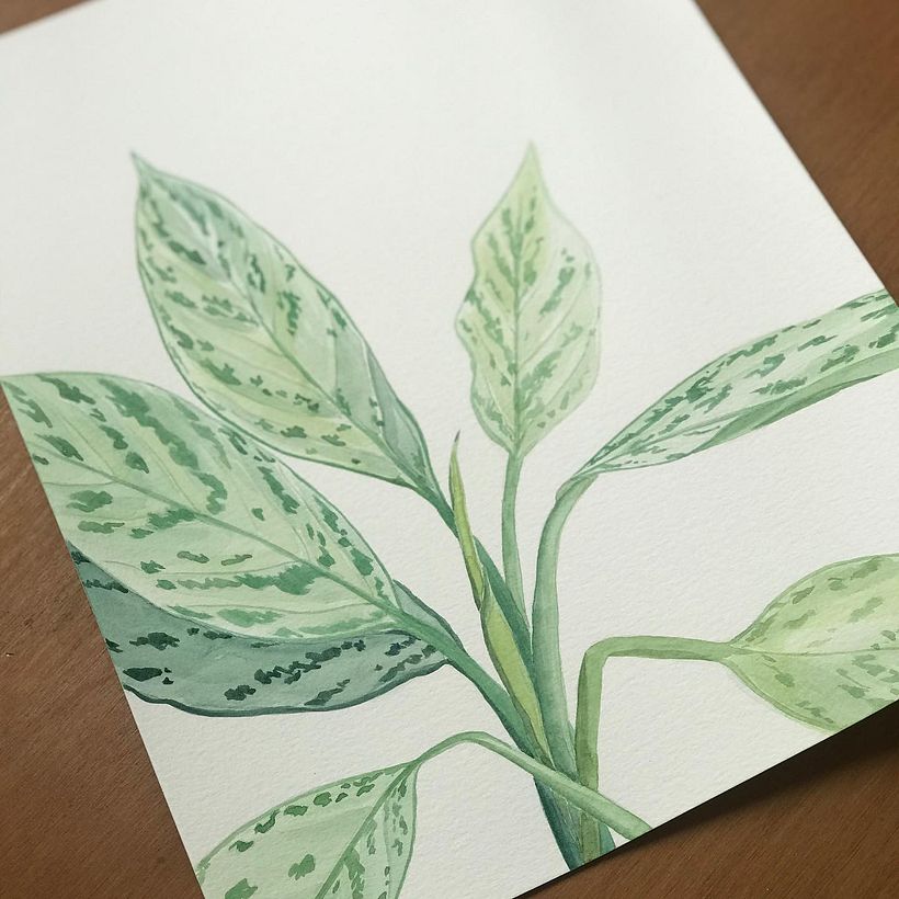 My project in Botanical Watercolor Sketchbook course 1