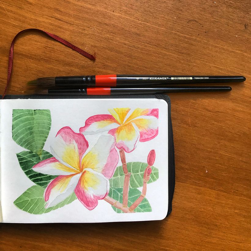 My project in Botanical Watercolor Sketchbook course 2