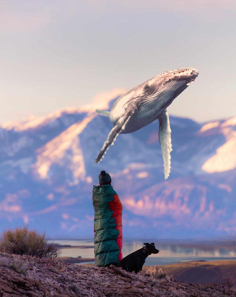 Uma amostra do trabalho de Diogo Sampaio