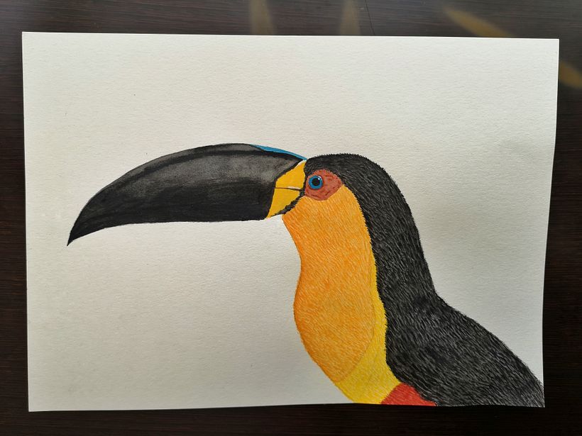 My project in Naturalist Bird Illustration with Watercolors course 0