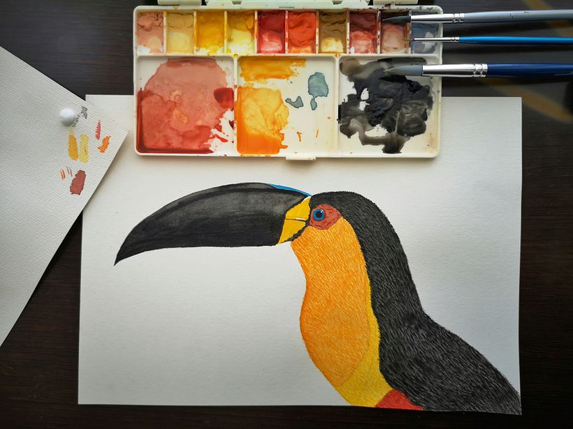 My project in Naturalist Bird Illustration with Watercolors course 1