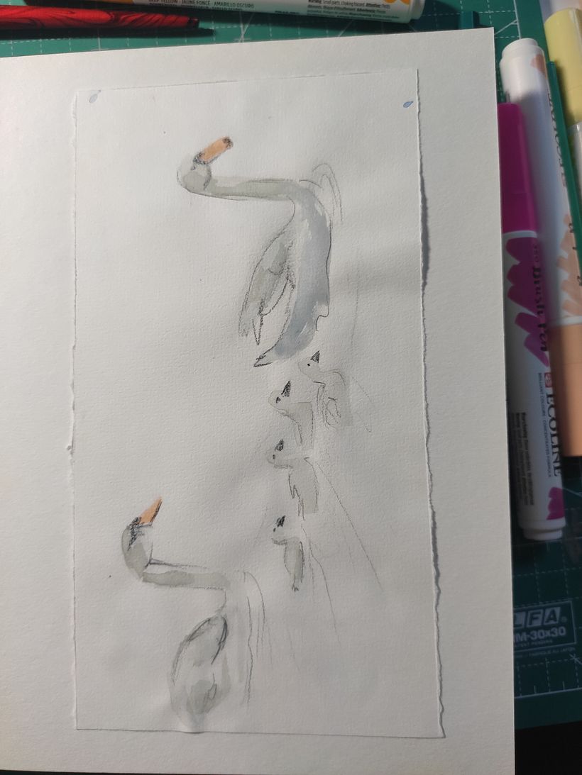 My project in Illustrating Nature: A Creative Exploration course 0