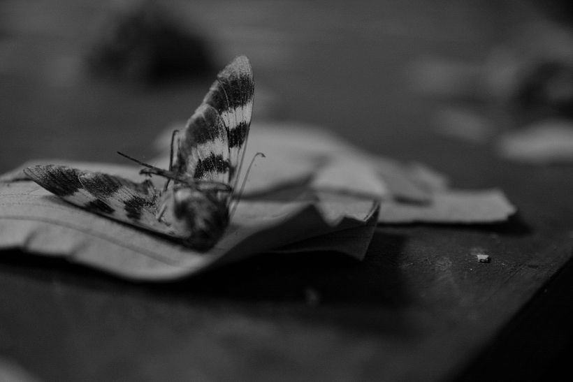 Feelings 5
