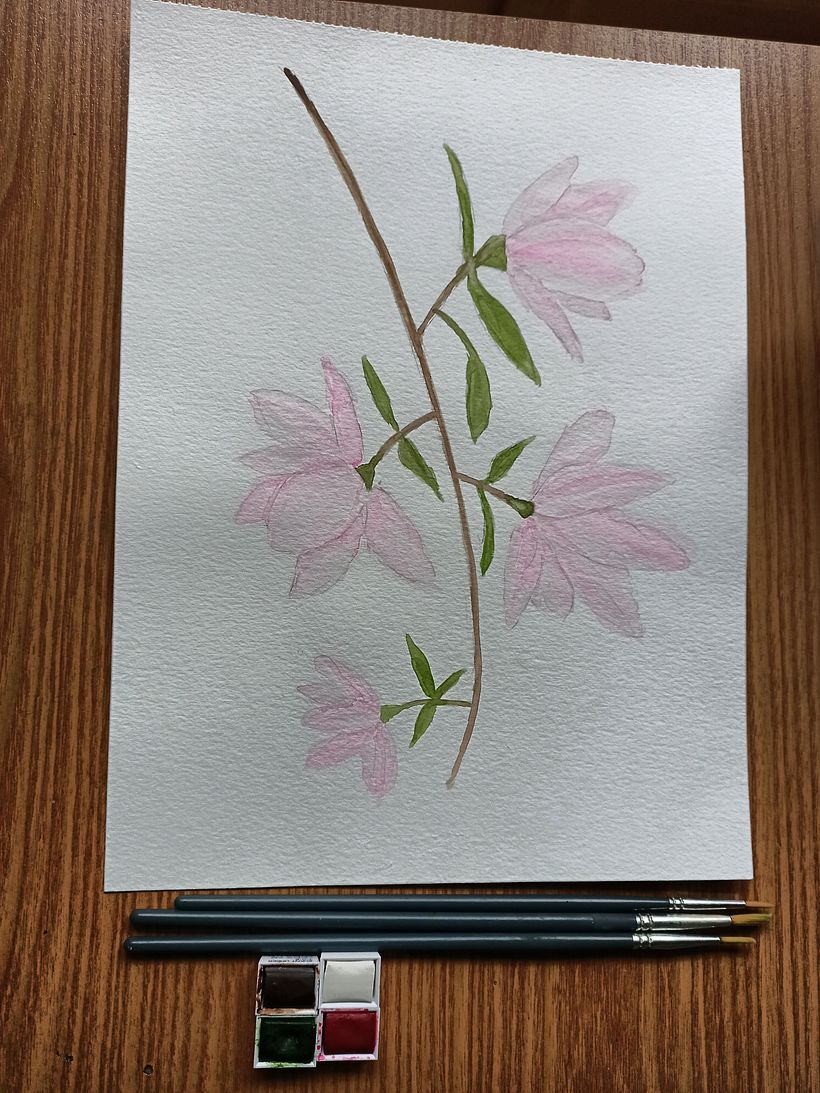 My project in Botanical Illustration with Watercolors course 9