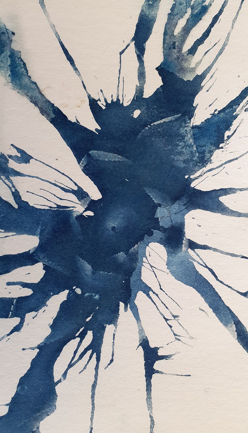 Cyanotype on paper - Creatividad