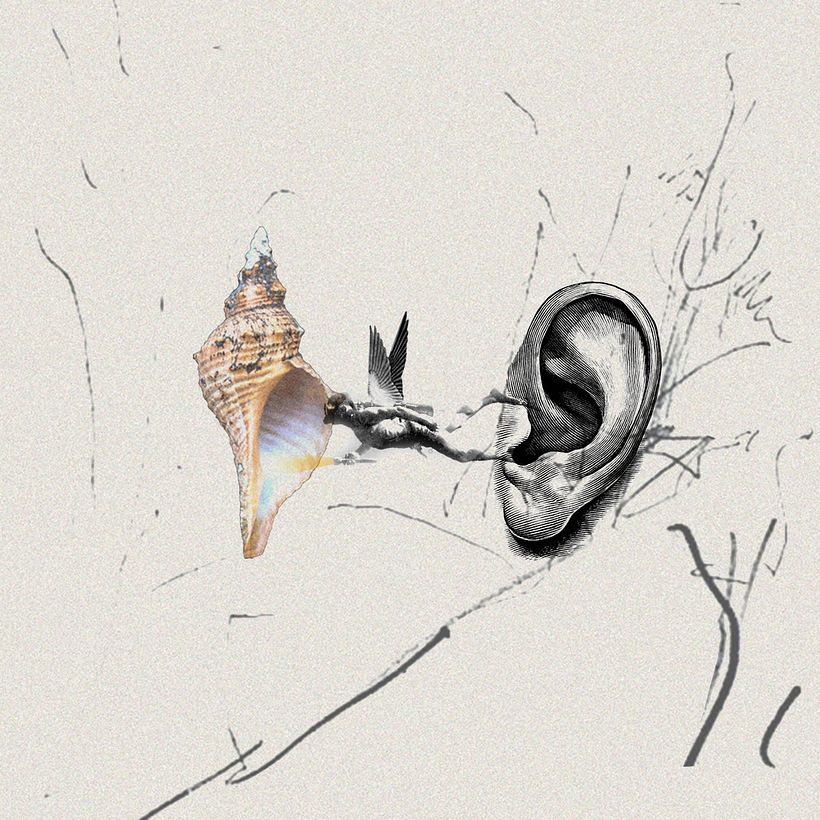 XV | Collage everyday 1