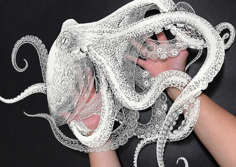 Pulpo por Masayo Fukuda.