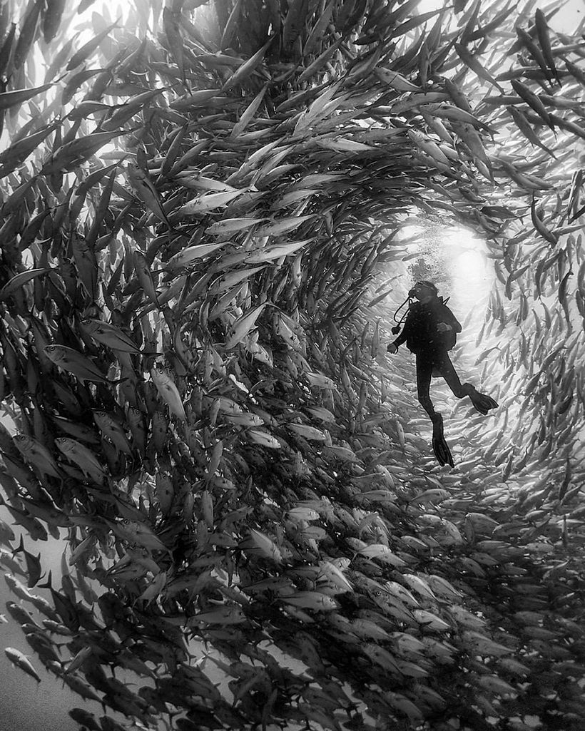 Anuar Patjane-Floriuk