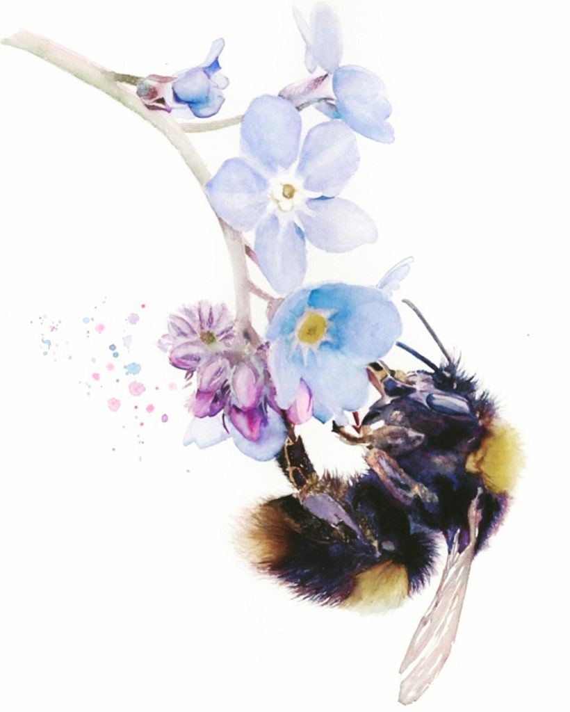 Sarah Stokes unites her two passions: painting and nature.