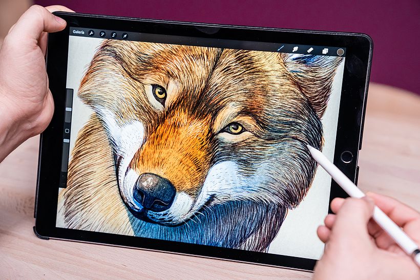 Illustration created by Domestika teacher Román García Mora in Procreate.