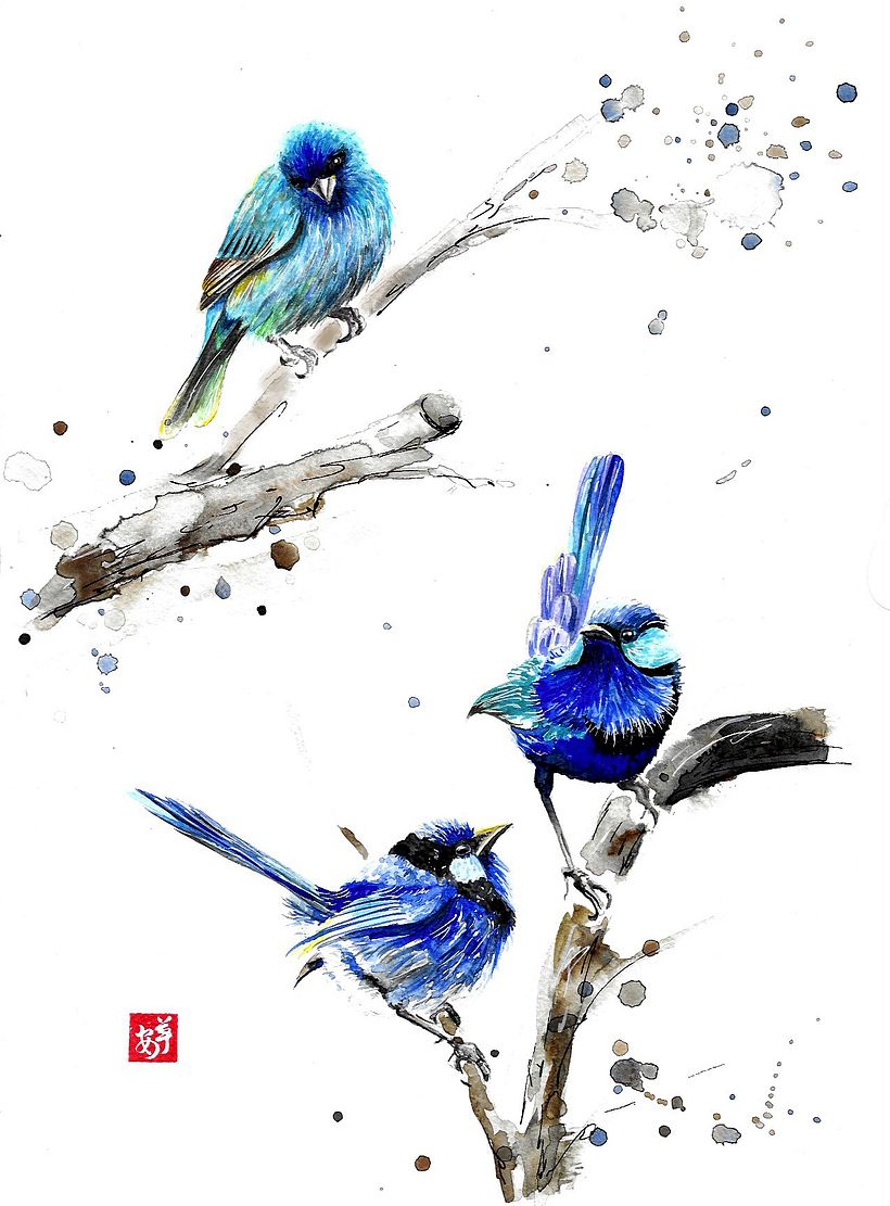My project in Artistic Watercolor Techniques for Illustrating Birds course 2