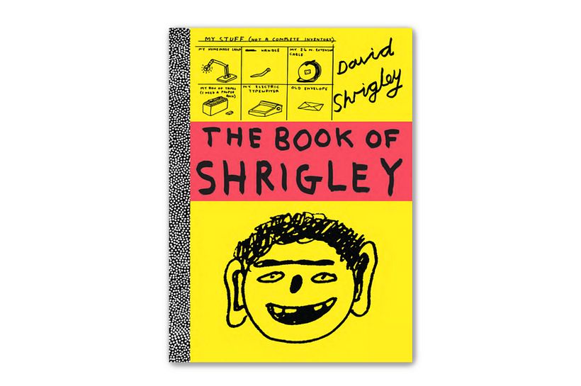 'The Book of Shrigley', David Shrigley