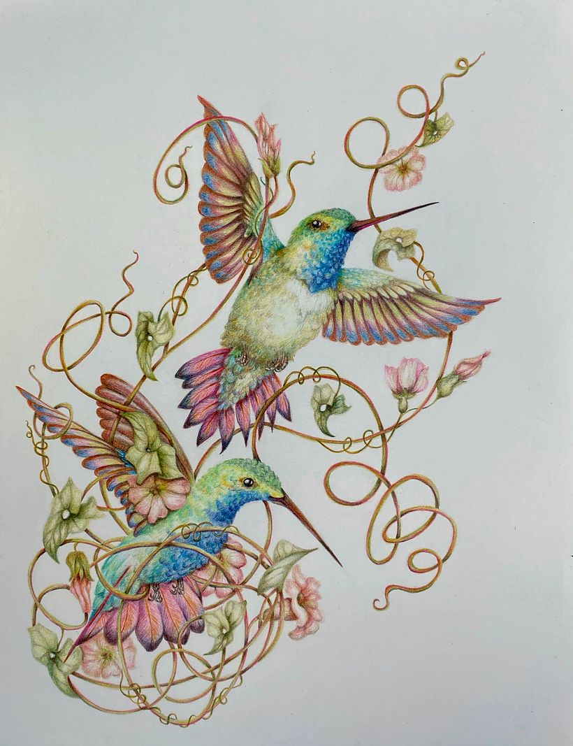 My project in Surrealist Illustration Inspired by Nature course 0