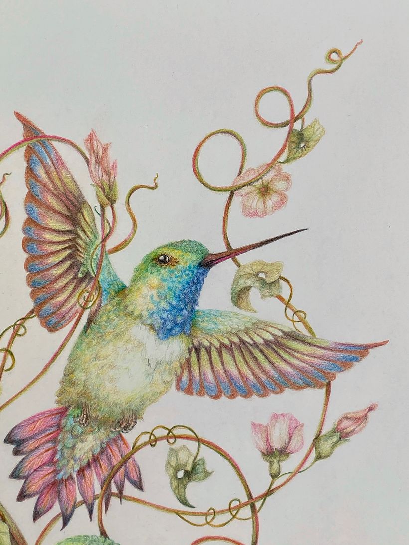 My project in Surrealist Illustration Inspired by Nature course 1